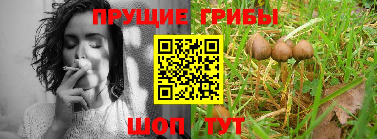 Галлюциногенные грибы ЛСД Первоуральск